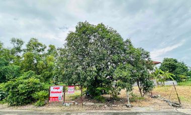 Terreno en venta en Khlong Luang, Pathum Thani