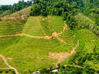ขาย ที่ดิน ใน เมืองพังงา, พังงา