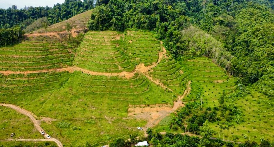 For sale land in Mueang Phangnga, Phang Nga
