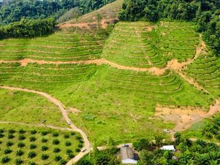 ขาย ที่ดิน ใน เมืองพังงา, พังงา