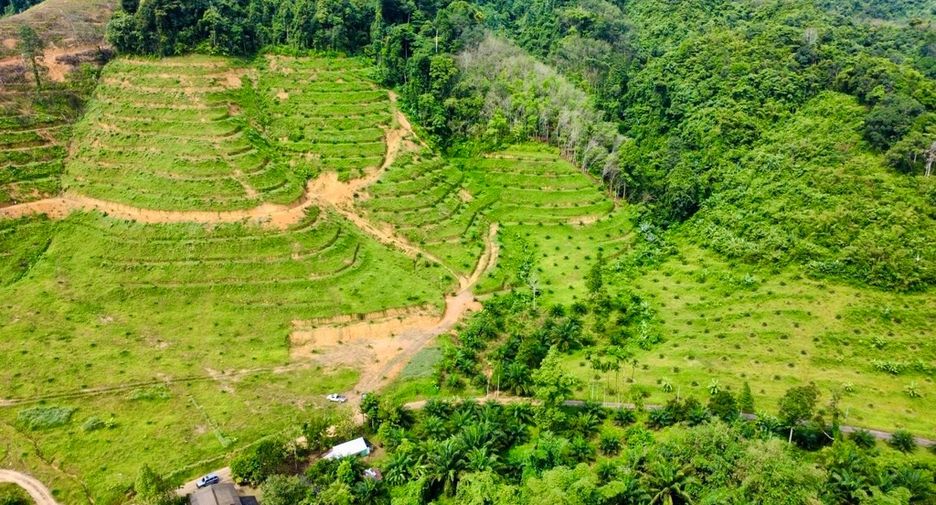 For sale land in Mueang Phangnga, Phang Nga