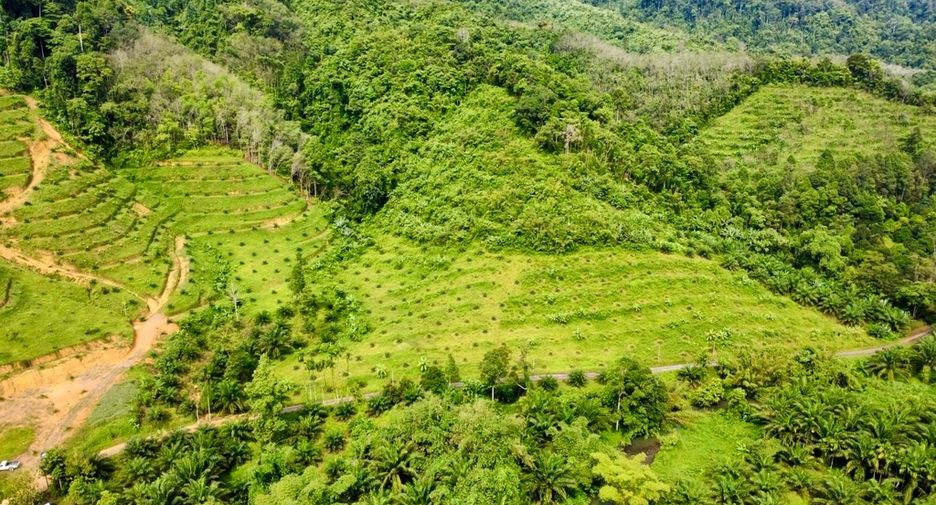 For sale land in Mueang Phangnga, Phang Nga