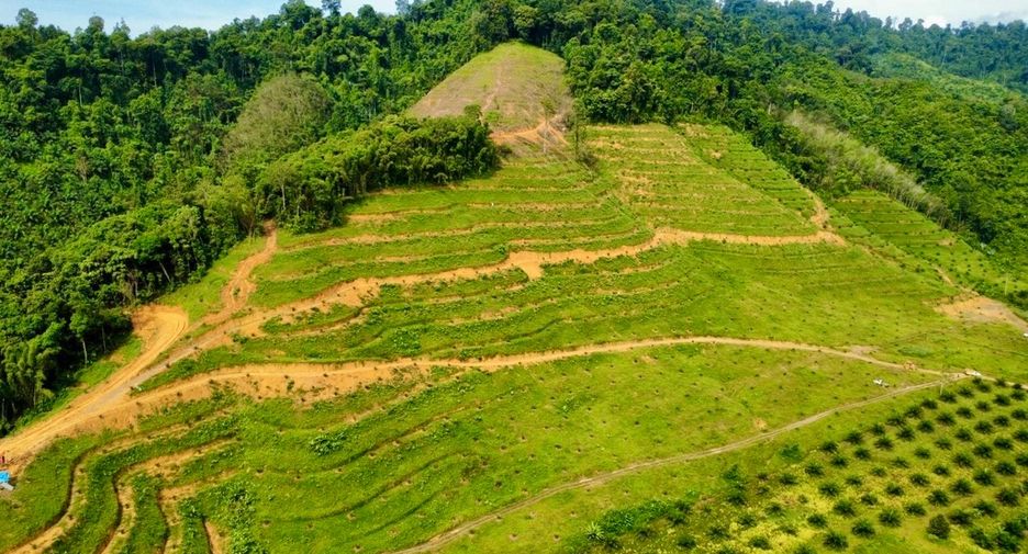For sale land in Mueang Phangnga, Phang Nga