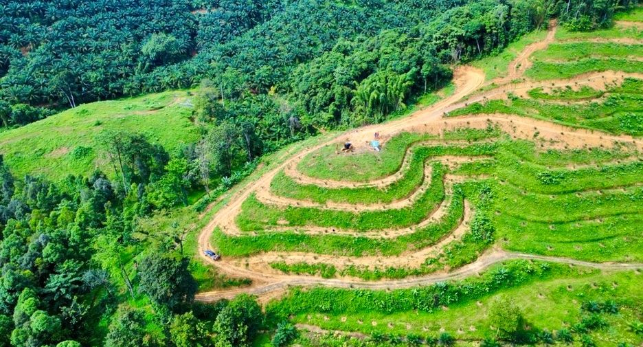 For sale land in Mueang Phangnga, Phang Nga