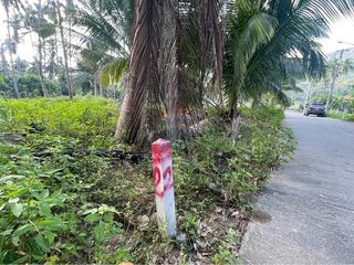 Terreno en venta en Ko Samui, Surat Thani
