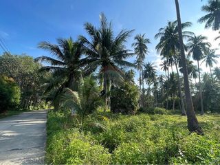 Terreno en venta en Ko Samui, Surat Thani