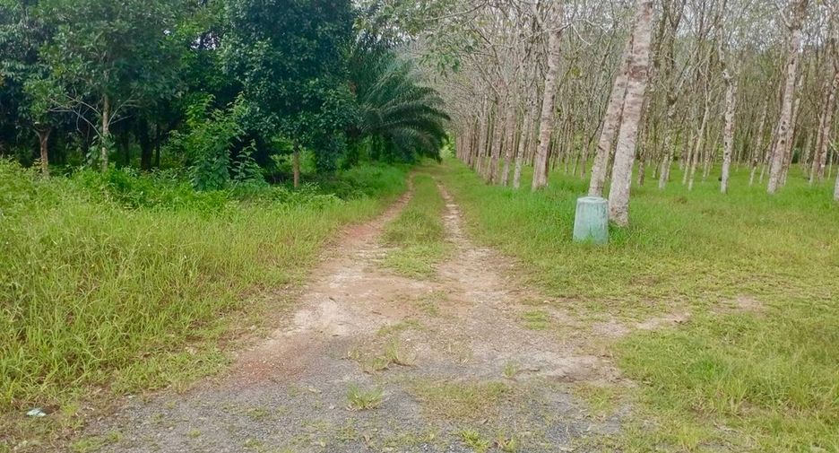 For sale land in Thai Mueang, Phang Nga