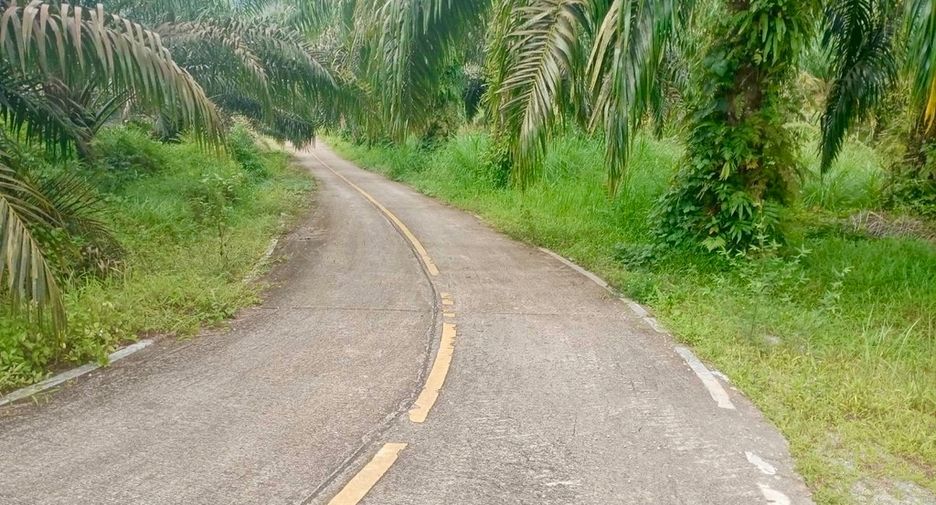 For sale land in Thai Mueang, Phang Nga