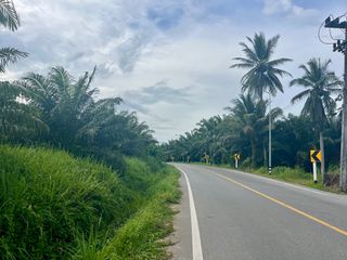 ขาย ที่ดิน ใน เมืองพังงา, พังงา