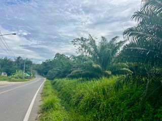 ขาย ที่ดิน ใน เมืองพังงา, พังงา