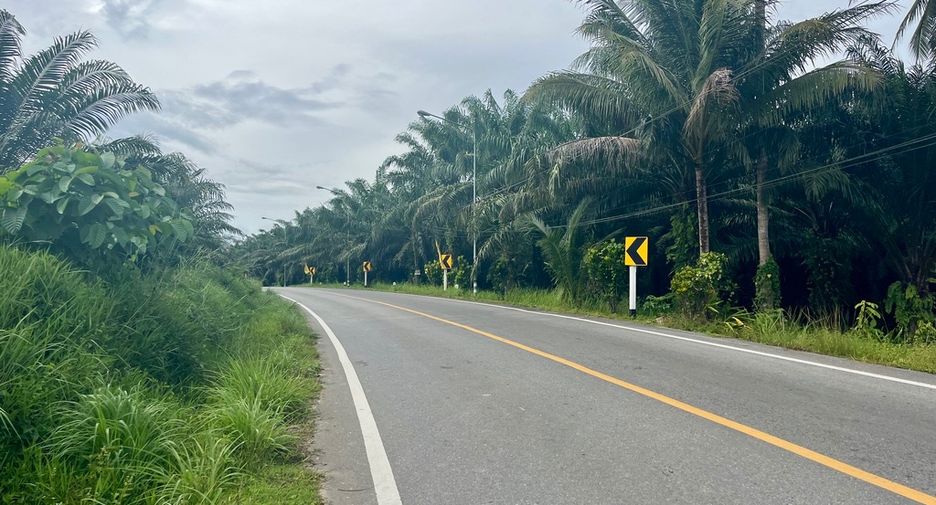 For sale land in Mueang Phangnga, Phang Nga
