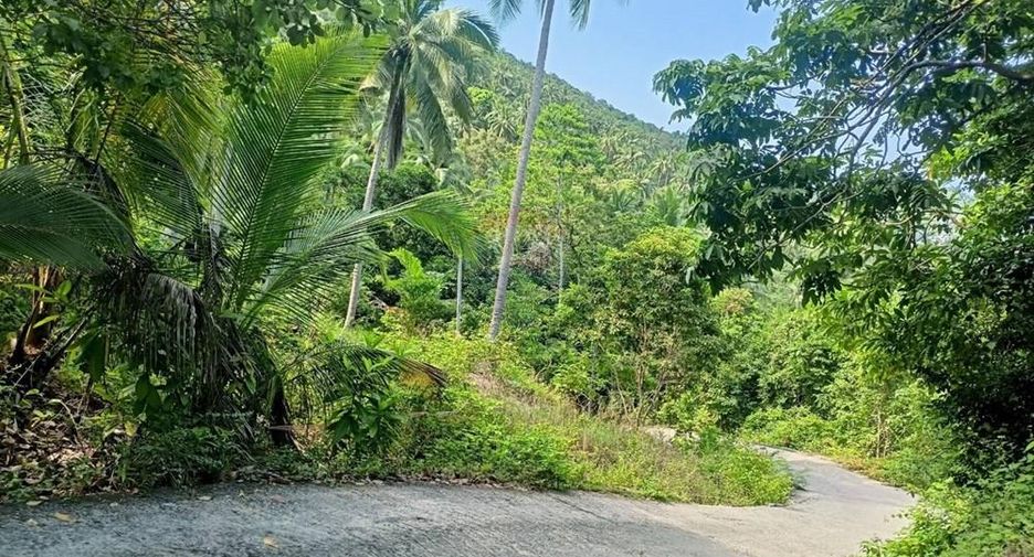 Villa zum Kauf mit 2 Zimmer in Ko Pha-ngan, Surat Thani