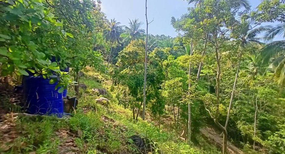 Villa zum Kauf mit 2 Zimmer in Ko Pha-ngan, Surat Thani
