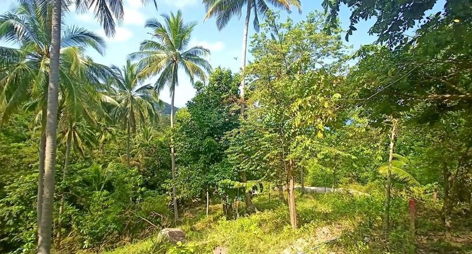 Villa zum Kauf mit 2 Zimmer in Ko Pha-ngan, Surat Thani