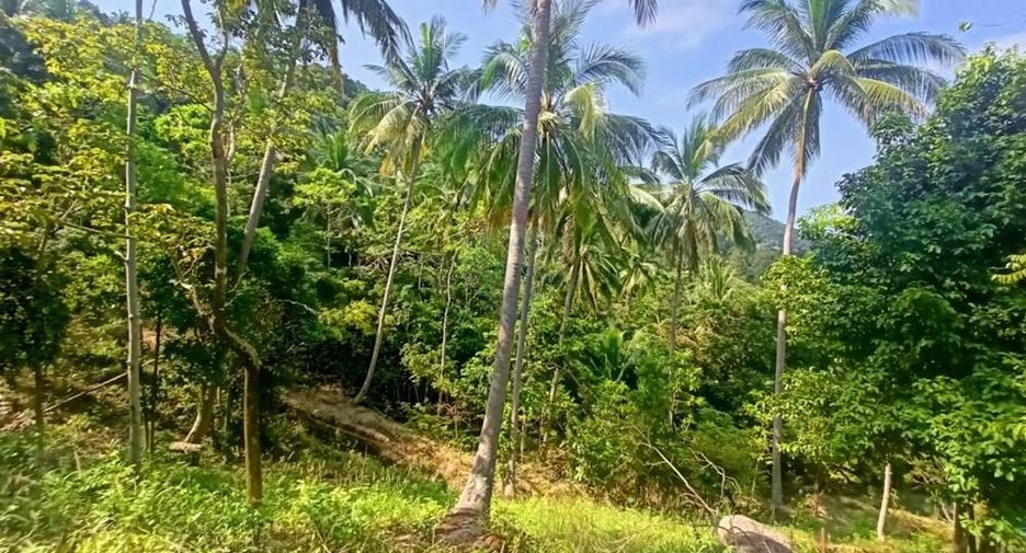 Villa zum Kauf mit 2 Zimmer in Ko Pha-ngan, Surat Thani