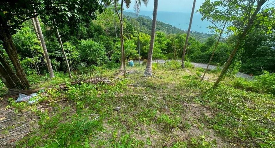 Villa zum Kauf mit 2 Zimmer in Ko Pha-ngan, Surat Thani