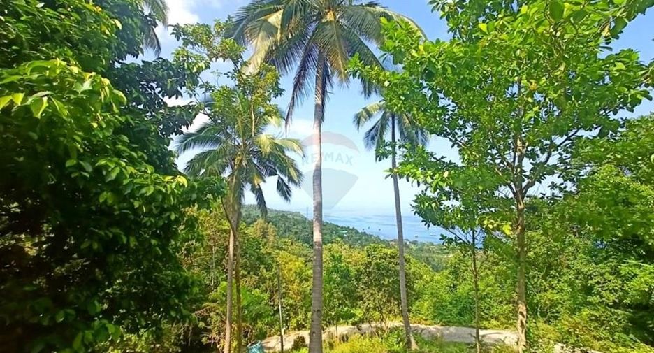 Villa zum Kauf mit 2 Zimmer in Ko Pha-ngan, Surat Thani