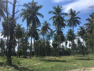 For sale land in Tha Sala, Nakhon Si Thammarat