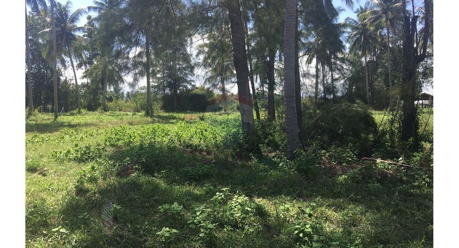 出售 土地 在 Tha Sala, Nakhon Si Thammarat