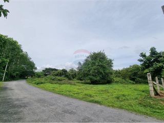 For sale land in Thung Song, Nakhon Si Thammarat