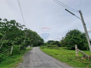 For sale land in Thung Song, Nakhon Si Thammarat