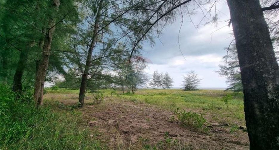 Grundstück zum Kauf in Tha Sala, Nakhon Si Thammarat