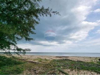 For sale land in Tha Sala, Nakhon Si Thammarat