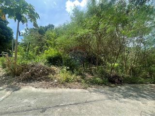 For sale land in Ko Samui, Surat Thani