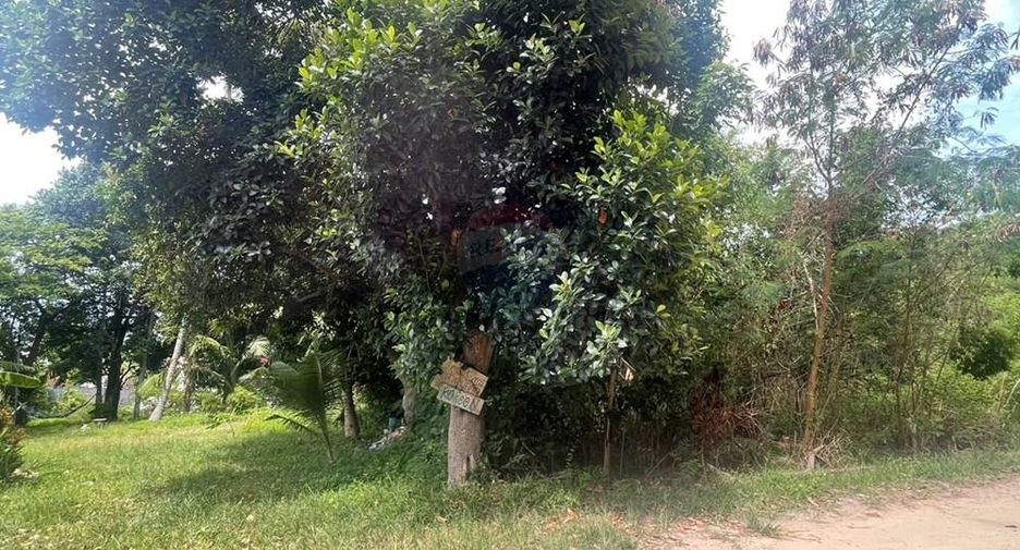For sale land in Ko Samui, Surat Thani