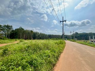 ขาย ที่ดิน ใน เมืองกระบี่, กระบี่