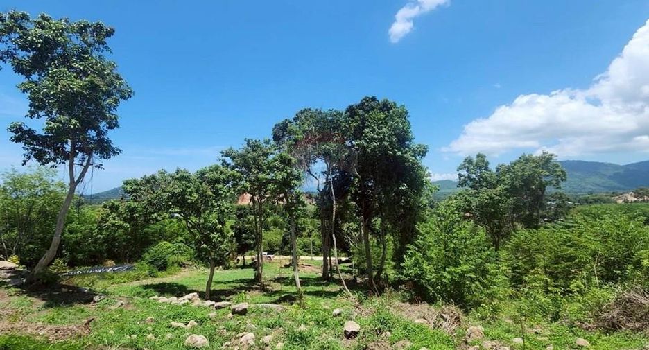 出售 土地 在 苏梅岛, 素叻