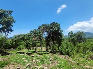 出售 土地 在 苏梅岛, 素叻