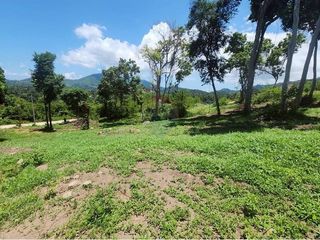 出售 土地 在 苏梅岛, 素叻