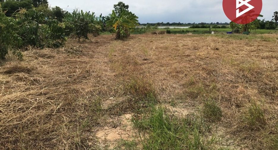 For sale land in Bang Pla Ma, Suphan Buri