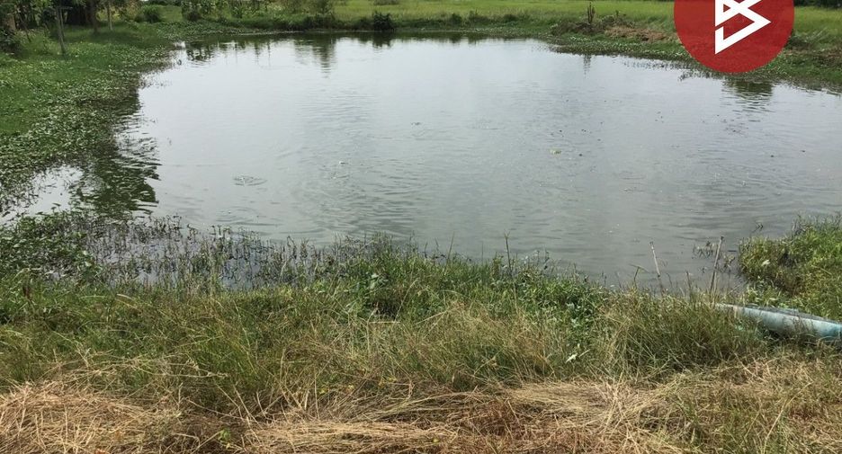 For sale land in Bang Pla Ma, Suphan Buri