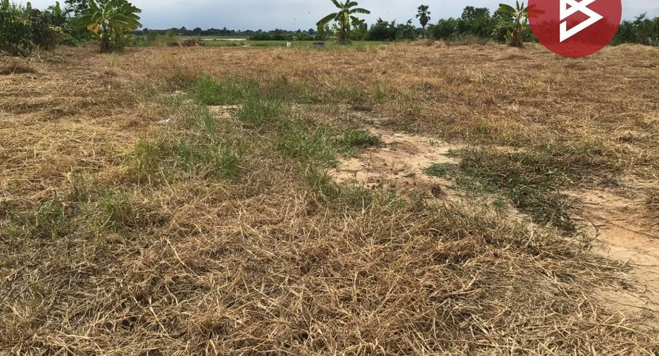 For sale land in Bang Pla Ma, Suphan Buri