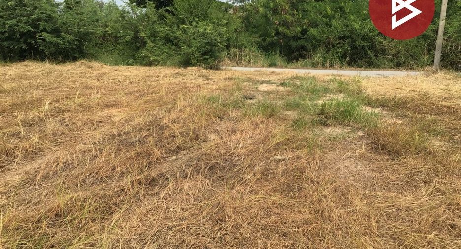 For sale land in Bang Pla Ma, Suphan Buri