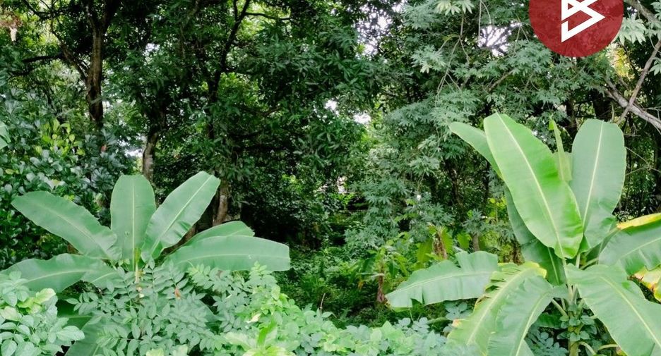 For sale land in Mueang Phitsanulok, Phitsanulok