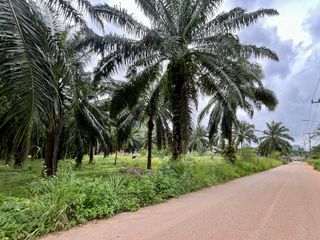 出售 土地 在 Mueang Krabi, Krabi