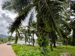 出售 土地 在 Mueang Krabi, Krabi