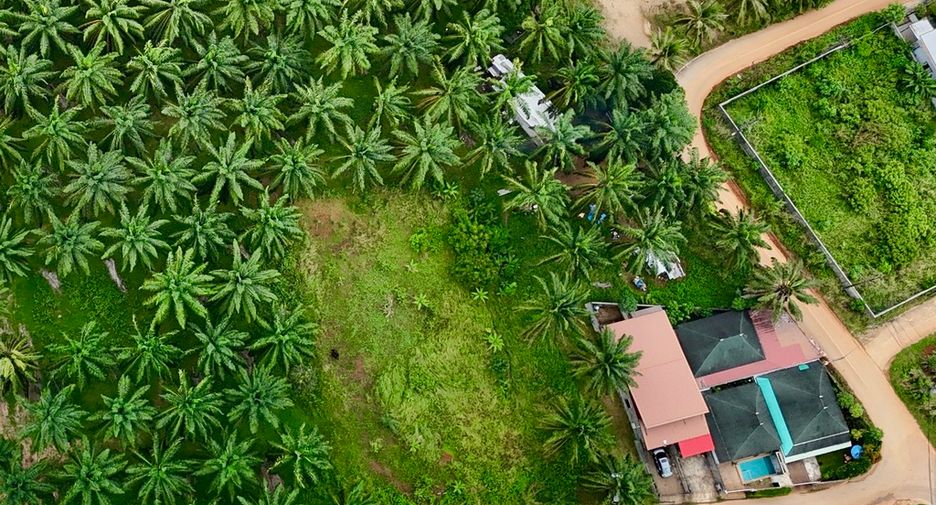 出售 土地 在 Mueang Krabi, Krabi