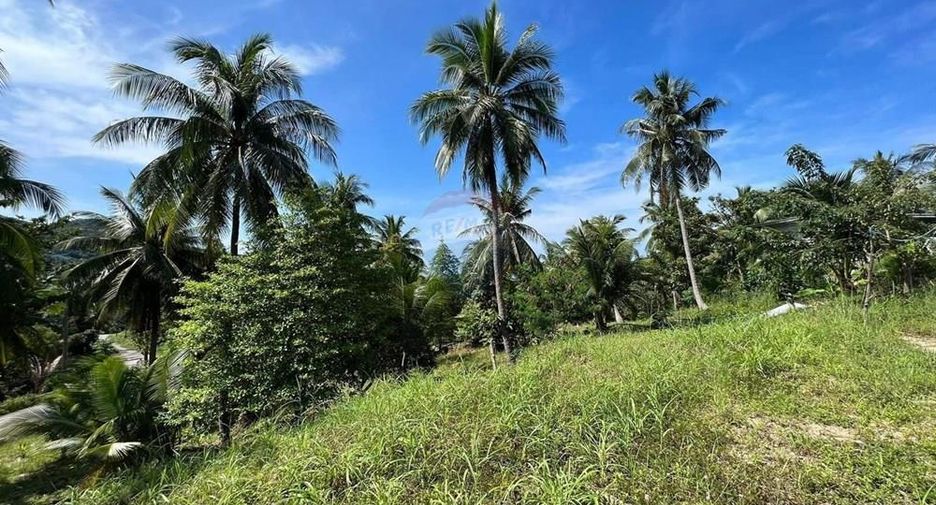 Terreno en venta en Ko Pha-ngan, Surat Thani