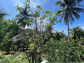 出售 土地 在 Koh Phangan, 素叻