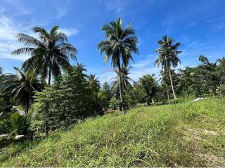 出售 土地 在 Koh Phangan, 素叻