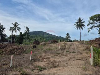出售 土地 在 Koh Phangan, 素叻