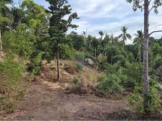 出售 土地 在 Koh Phangan, 素叻