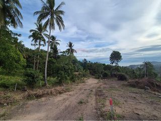 出售 土地 在 Koh Phangan, 素叻