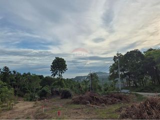 出售 土地 在 Koh Phangan, 素叻