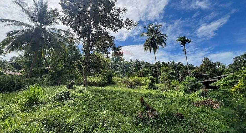 Grundstück zum Kauf in Ko Pha-ngan, Surat Thani