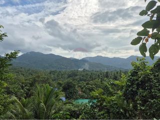 出售 土地 在 Koh Phangan, 素叻